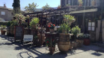 Restaurant - La Plancha